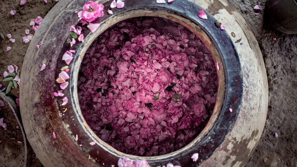 Pink flower petals inside a stone container with scattered flowers around.